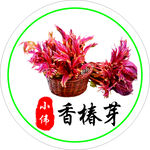 香椿芽标签