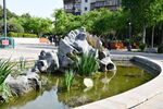 月季公园