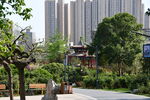 月季公园