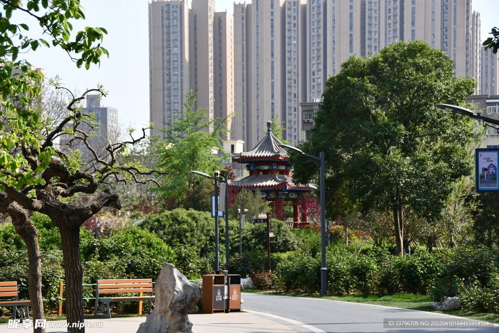 月季公园