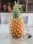 当季水果菠萝