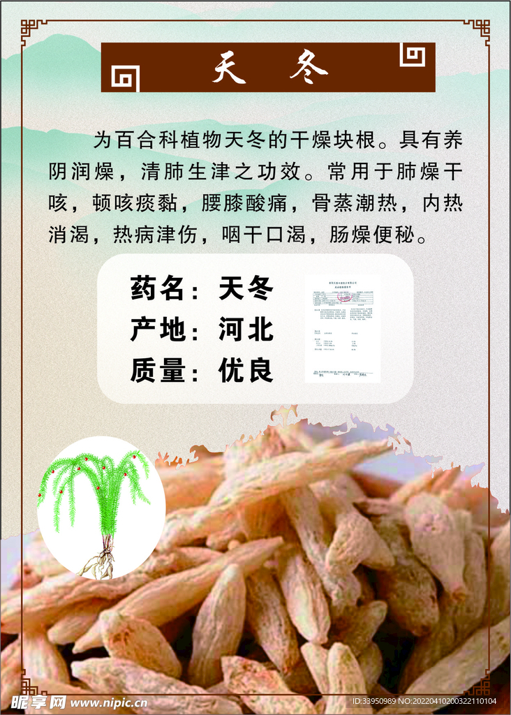 药材海报