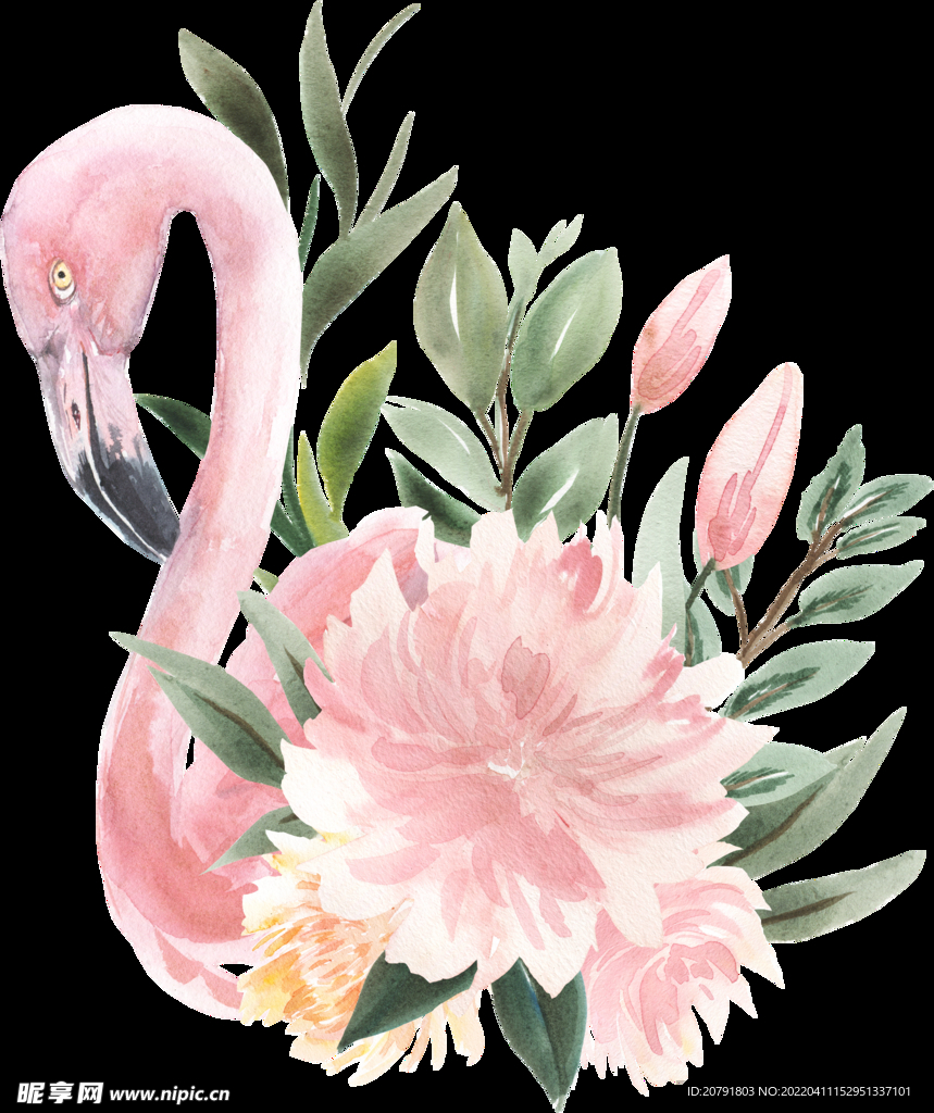 粉色水彩花朵 火烈鸟