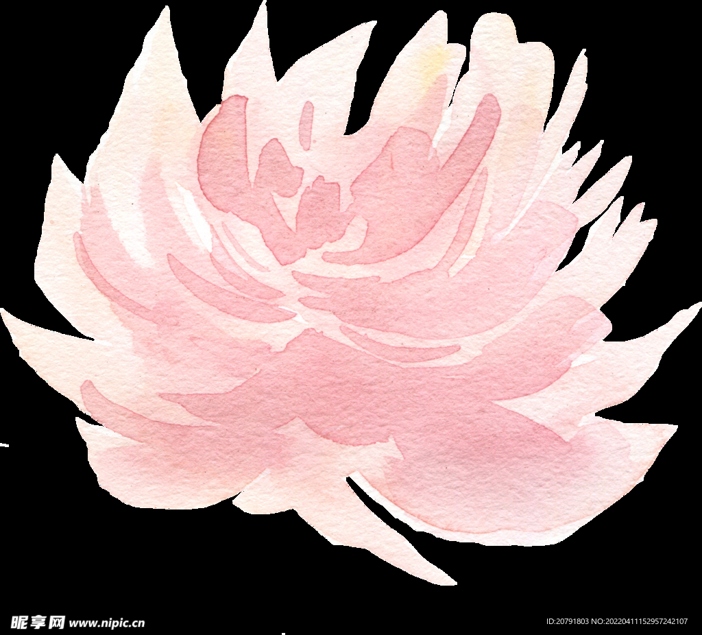 粉色手绘 水彩花朵