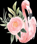 粉色花朵 火烈鸟