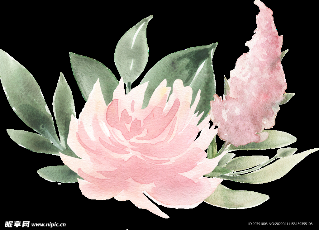粉色手绘 水彩花朵