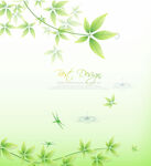 玻璃门花纹