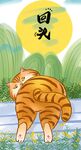 萌主猫  
