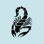 蝎子