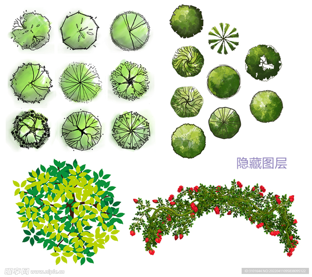 植物俯视素材