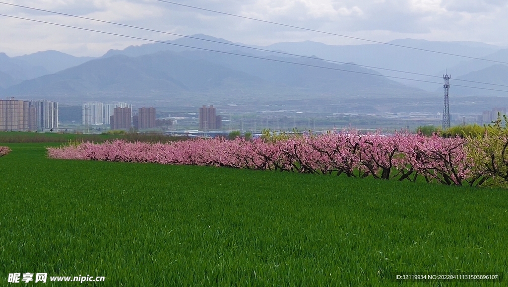 田野美景