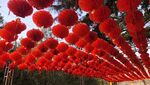 大红灯笼高高挂