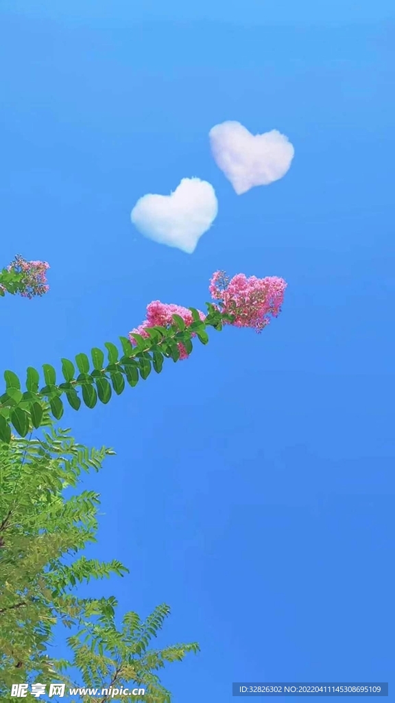 蓝天 花朵 背景 
