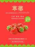 草莓海报