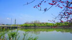 江边风景素材  风景如画 街边