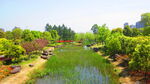 公园风景素材  湖岸美景 池塘