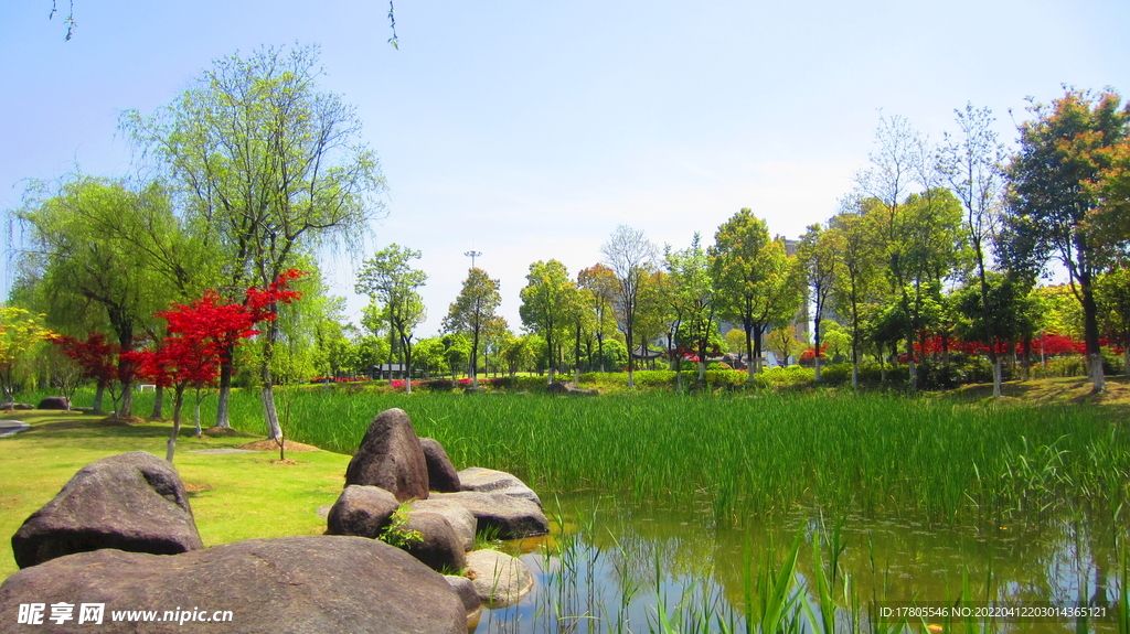 公园风景素材  湖岸美景 池塘