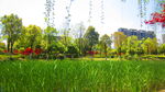 公园风景素材  湖岸美景 柳条