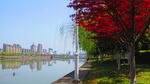 江边风景素材  风景如画 街边