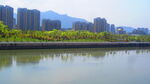 江边风景素材    风景如画 