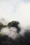 山林