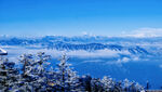 雪景