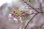 雨露均沾