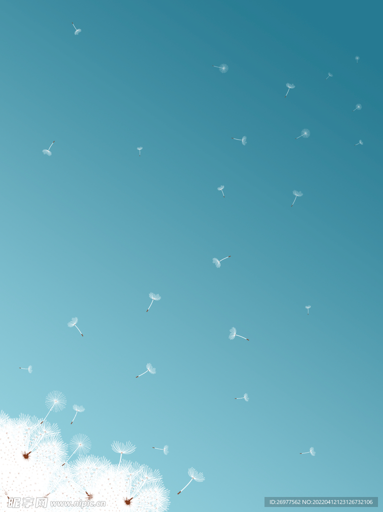 蒲公英背景 
