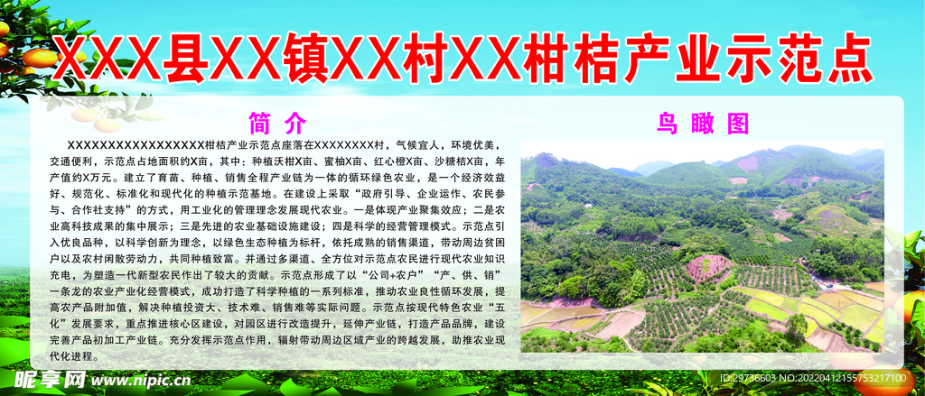 柑桔种植示范