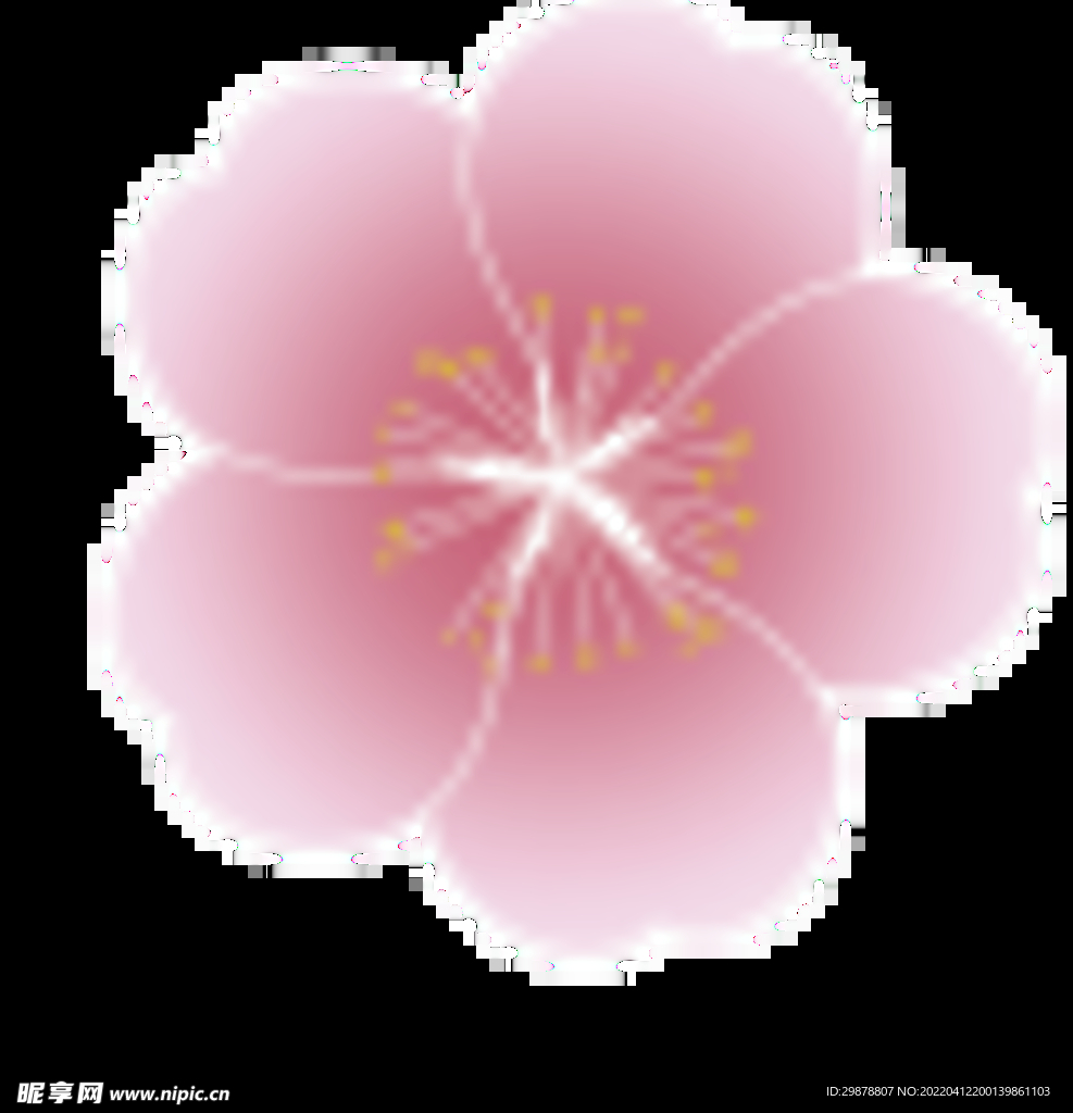 一朵樱花