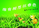春意盎然绿色背景