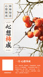 新年春节一月月签柿子祝福图文
