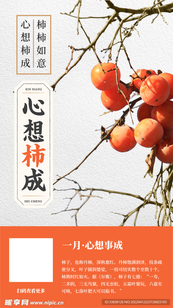 新年春节一月月签柿子祝福图文