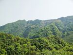 山