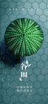 谷雨节气海报