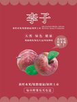 李子海报