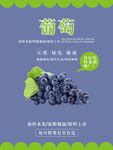 葡萄海报