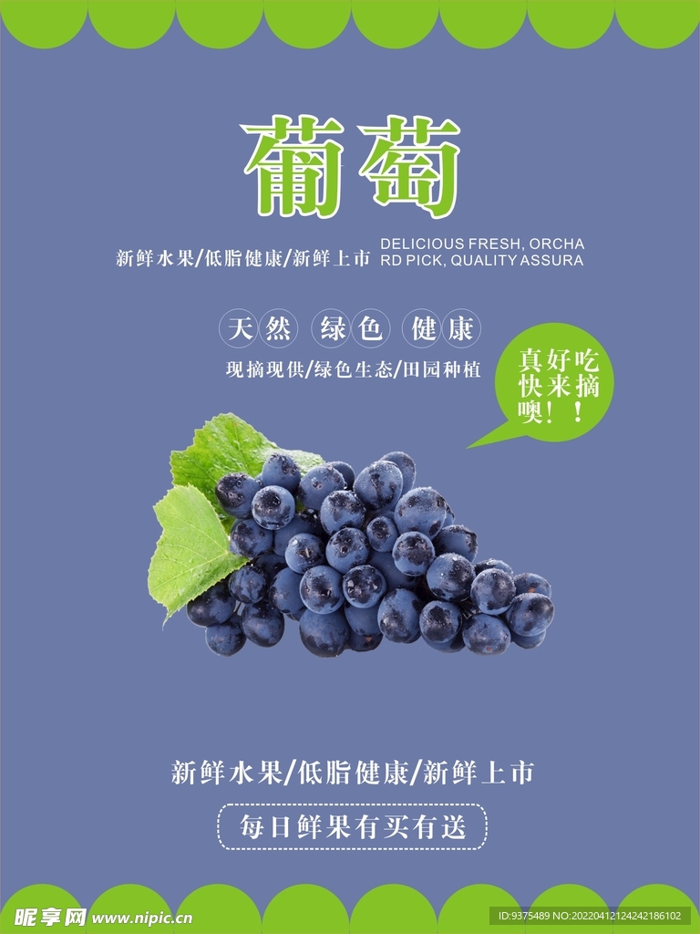 葡萄海报