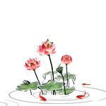 古典荷花 