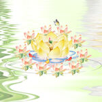 水中莲花