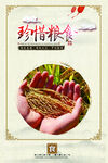 食堂海报