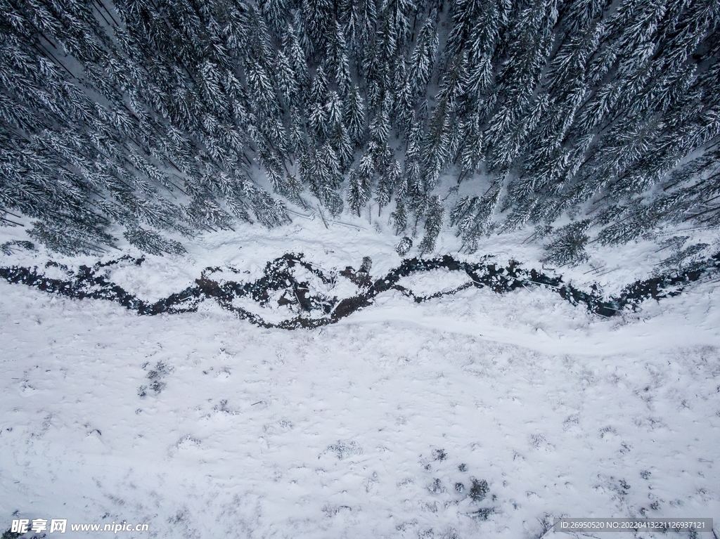 雪景
