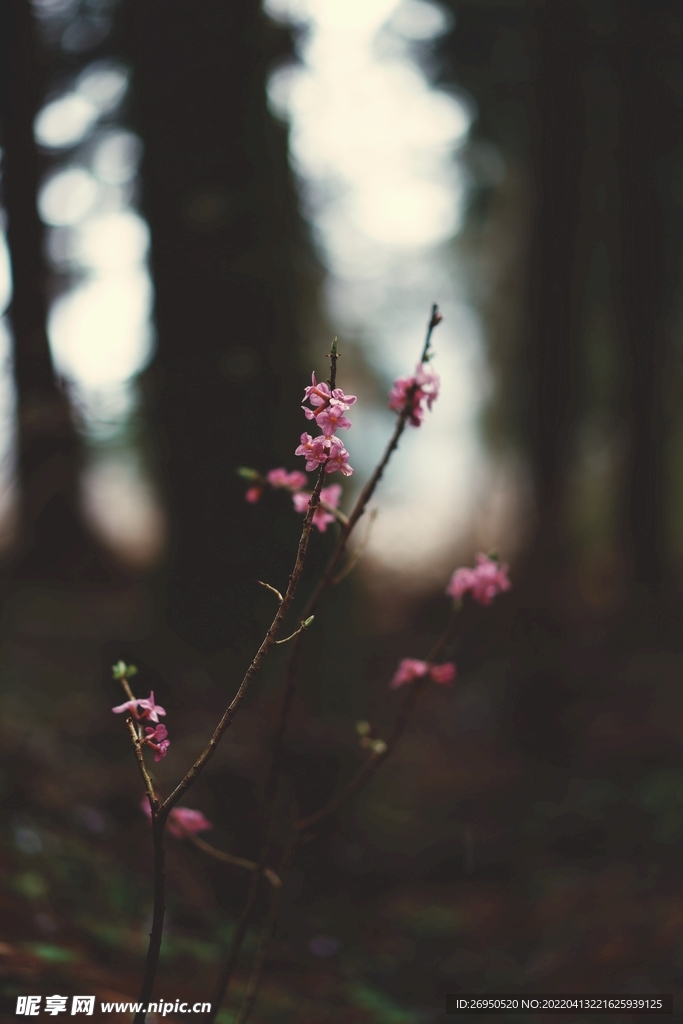 花