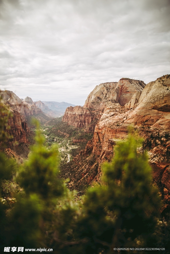 山