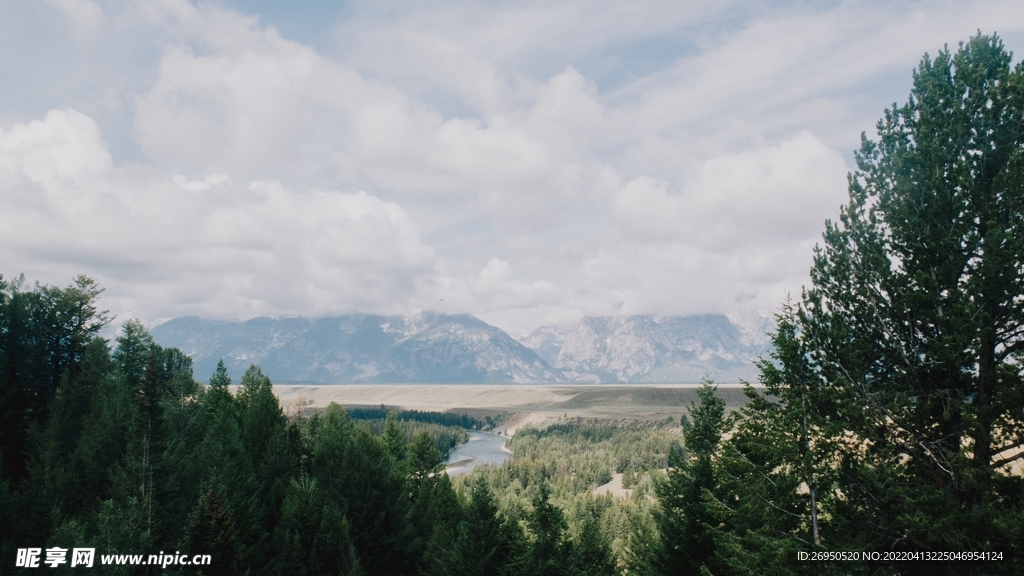山