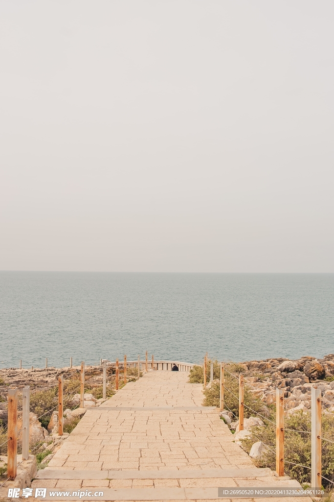 风景