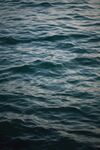 海