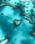 海