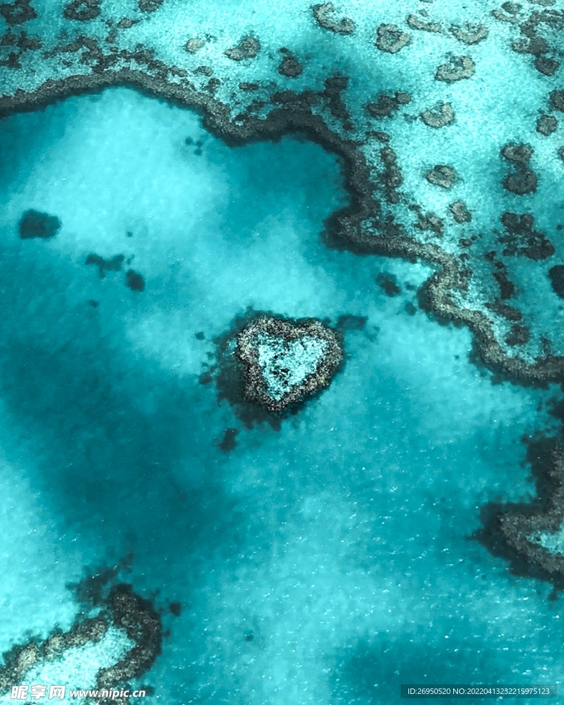 海