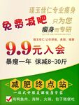 瑾玉佳仁99元减肥终点站海报